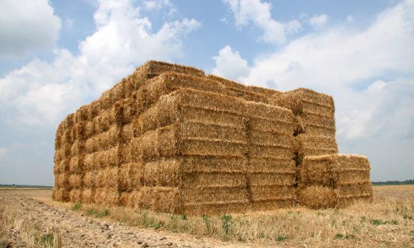 Straw Bales
