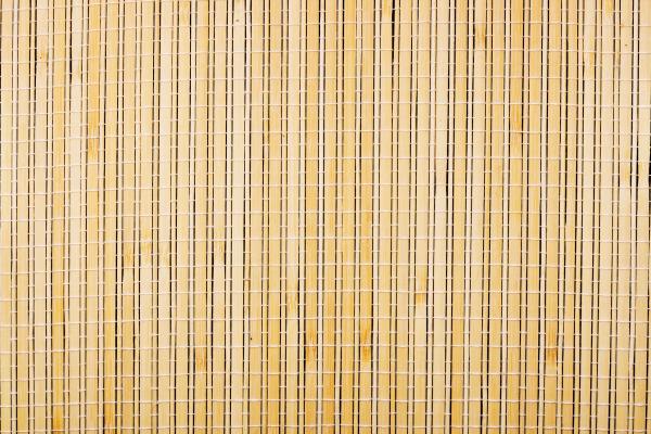 Bamboo background