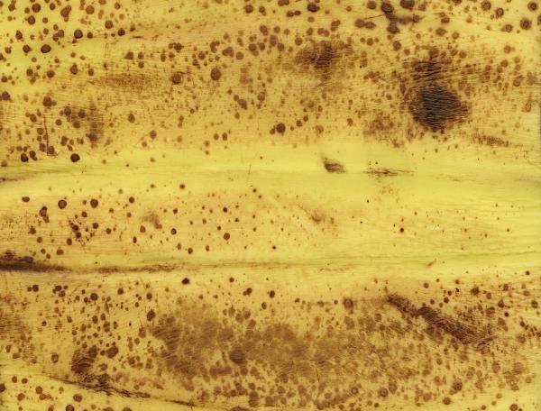 Banana Texture