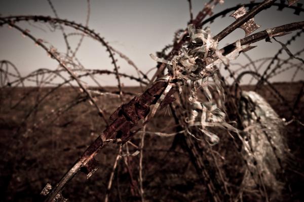 Barbed Wire