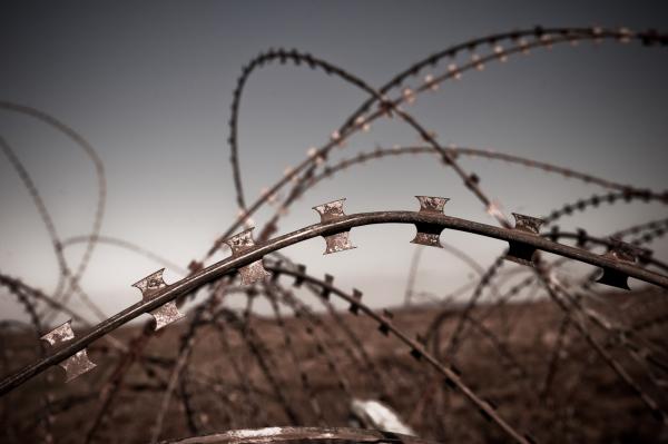 Barbed Wire