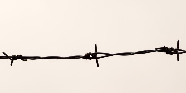 Barbed wire