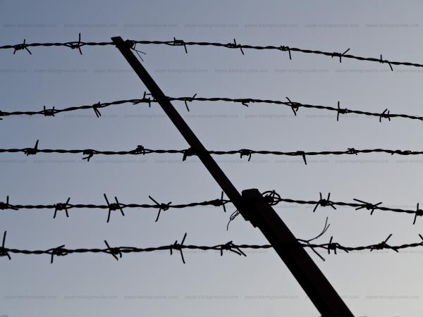 Vintage Barbed Wire