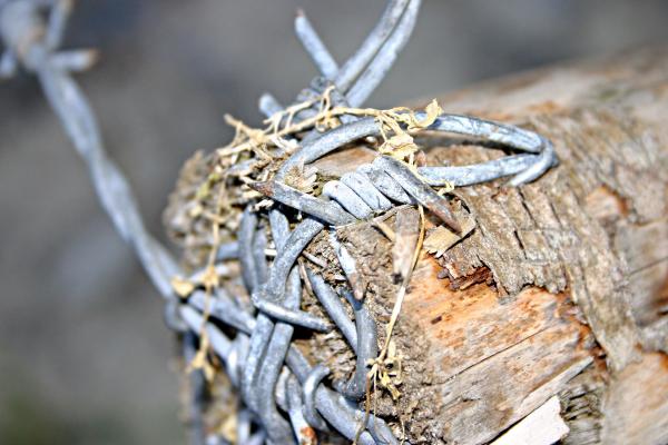 Barbed wire closeup