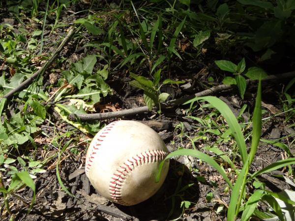 Baseball