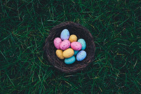 Basket Full Of Eggs