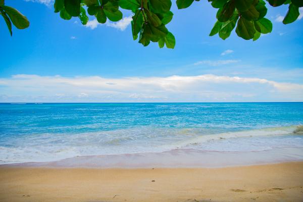 Beautiful Beach