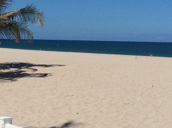 Beach Background