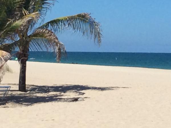Beach Background