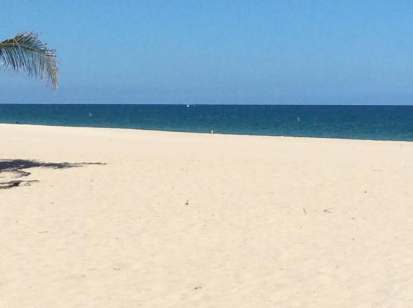 Beach Background