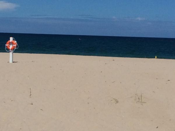 Beach Background