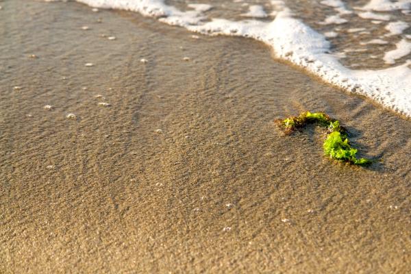 Beach II.