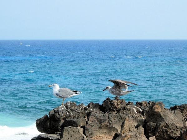 Beach in the Canary Islands