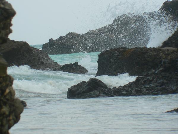 Beach life