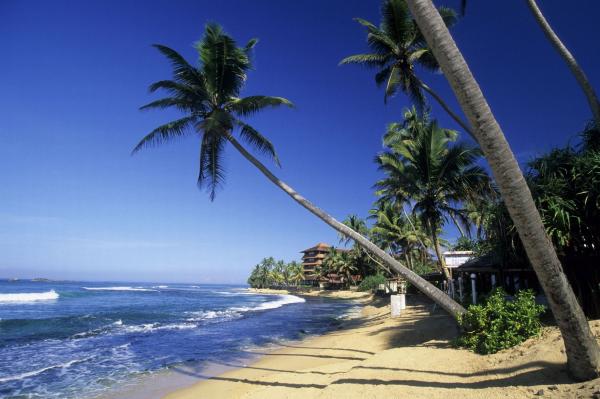 Beach Sri Lanka