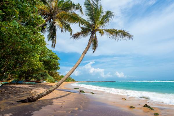 Beach Sri Lanka
