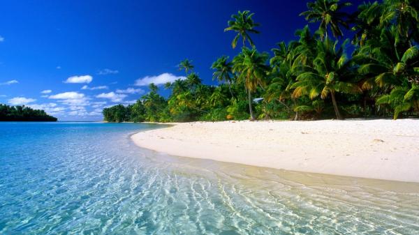Beach view