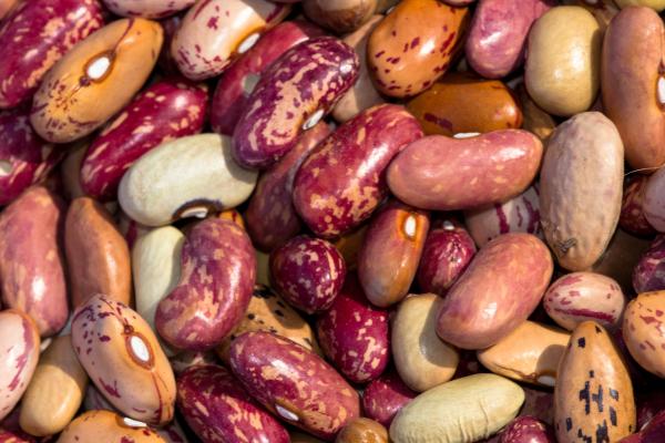 Beans