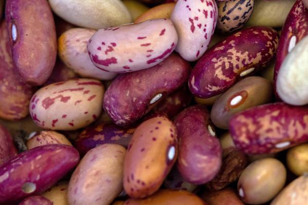 Beans
