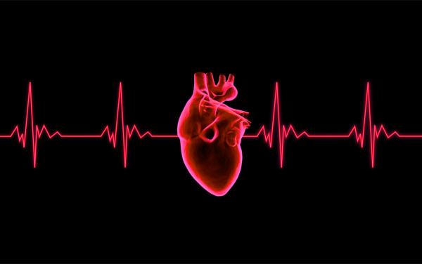 Beating Heart - ECG Graph