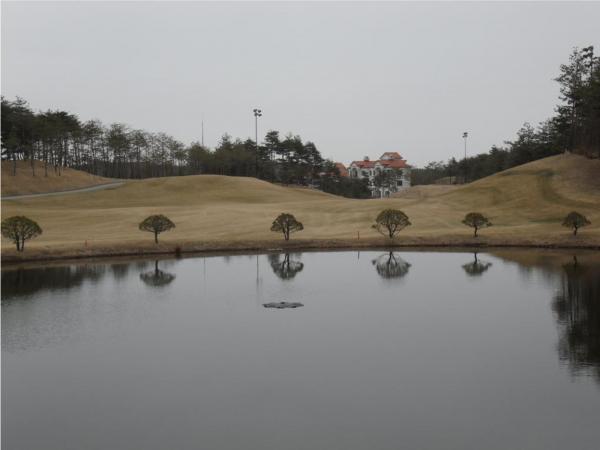Beauiful landscape
