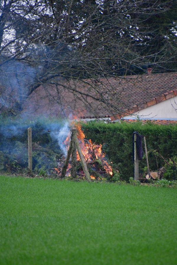 Beaulieu - Le Breuil Mingot (voir l'itinéraire sur : http://ansozour.free.fr/Beaulieu.html)