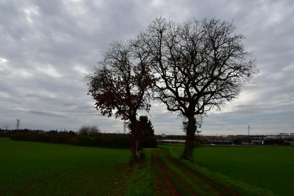 Beaulieu - Le Breuil-Mingot (voir l'itinéraire sur : http://ansozour.free.fr/Beaulieu.html)