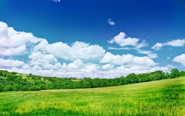 Beauty of Nature