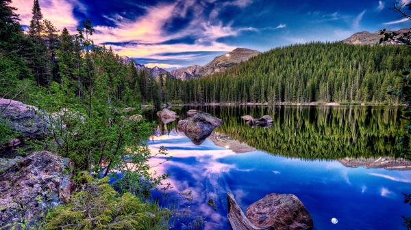 Beautiful Alpine