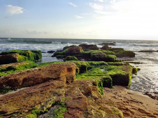 Beautiful Beach