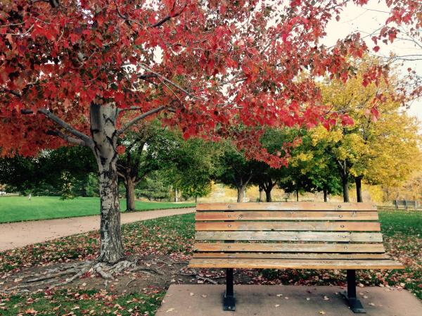 Beautiful bench