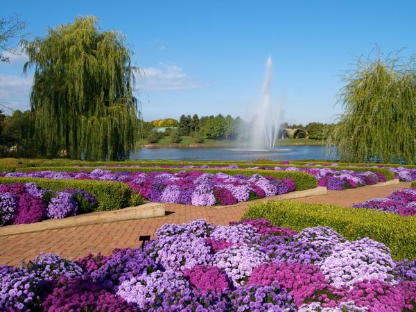 Beautiful botanical garden