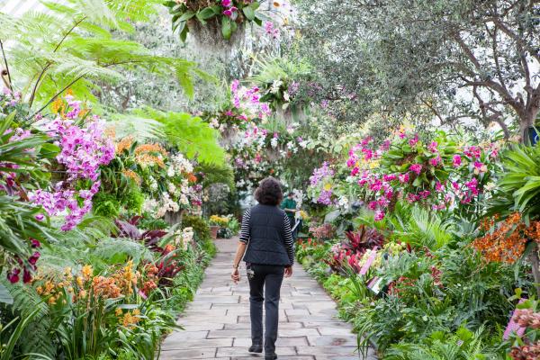 Botanical Garden