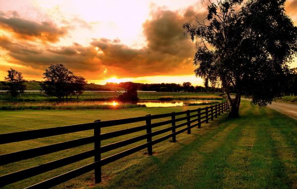 Beautiful Evening