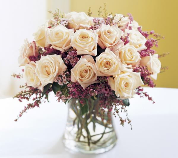 Beautiful Flowers