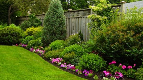Beautiful Garden