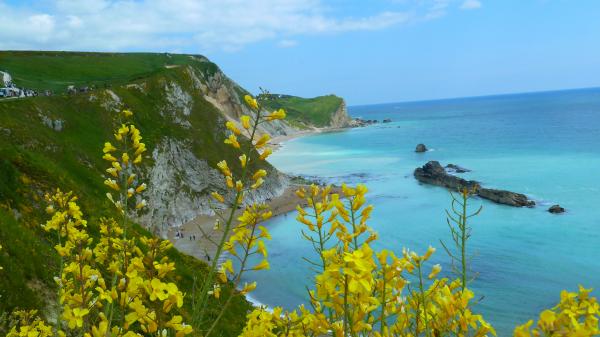 Beautiful Island