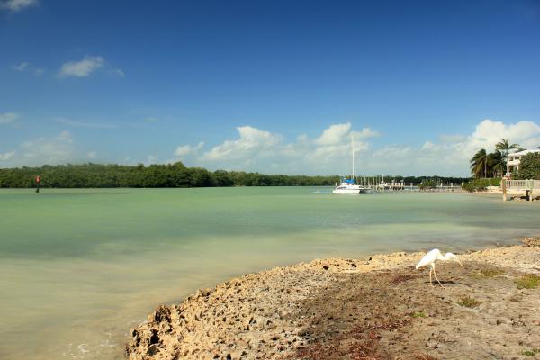 Beautiful Island