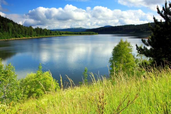 Beautiful landscape