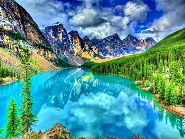 Bright Landscape