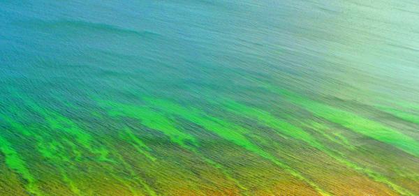 Beautiful natural pattern - Ocean ripple