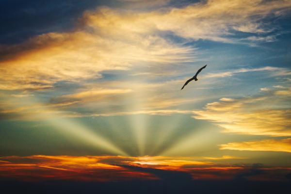 Beautiful Sky