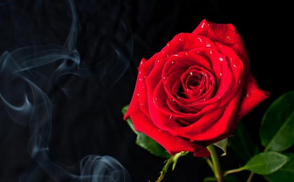 beautiful smoke