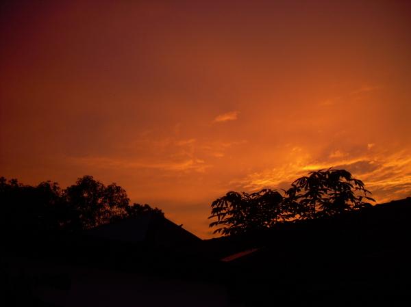 Beautiful sunset