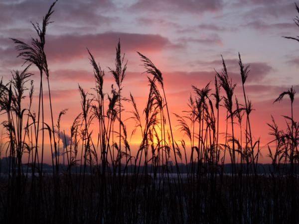 Beautiful sunset