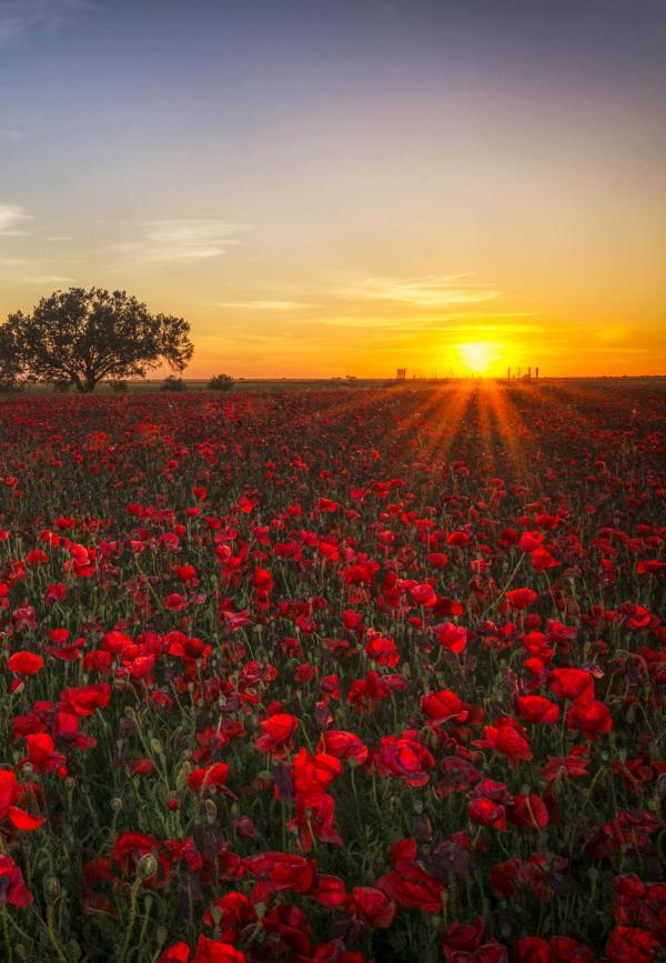 Beautiful sunset
