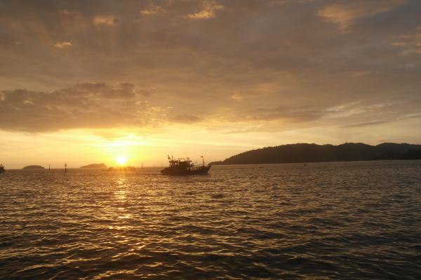 Beautiful Sunset
