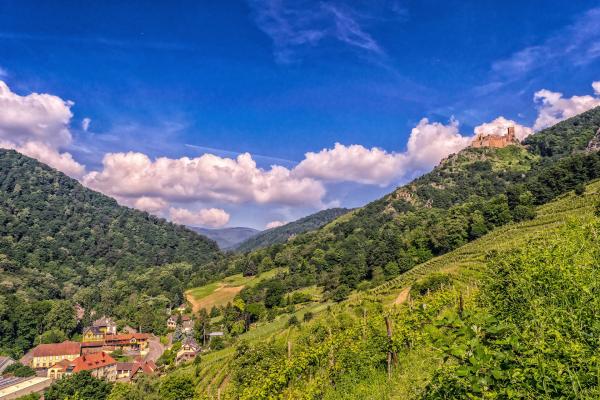 Beautiful Valley