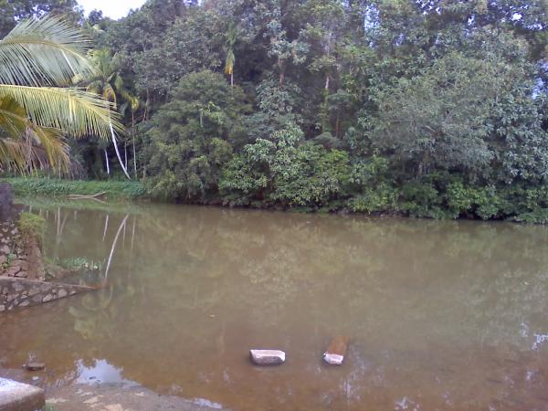Beauty of Kerala