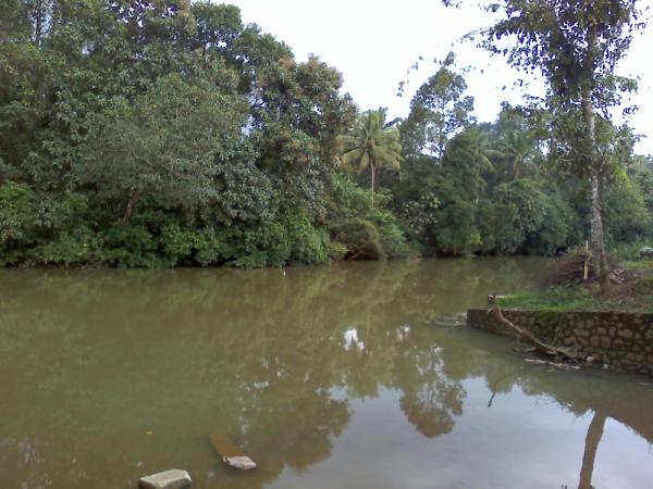 Beauty of Kerala